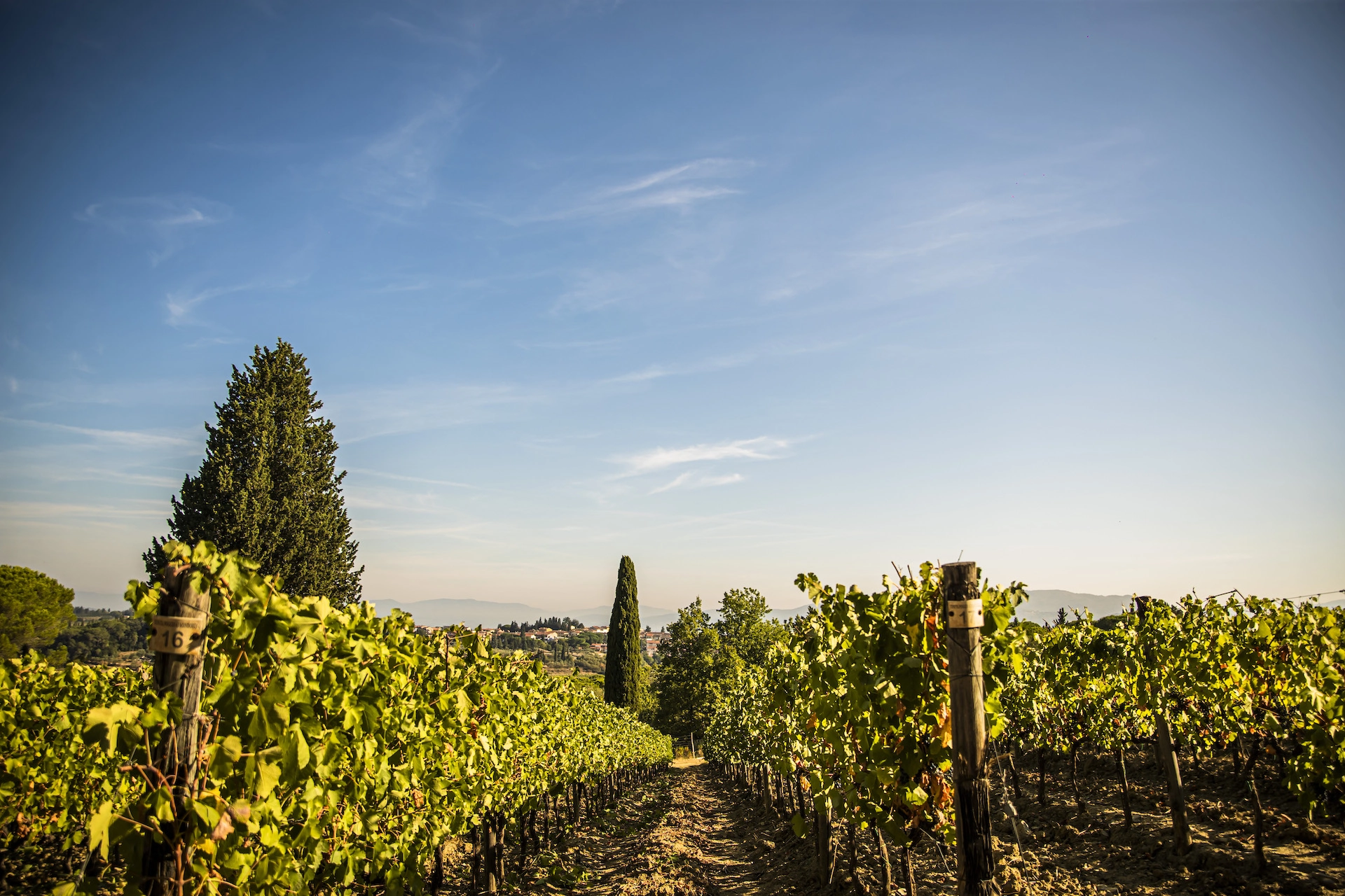 Tenuta Poggio ai Mandorli - Tenuta
