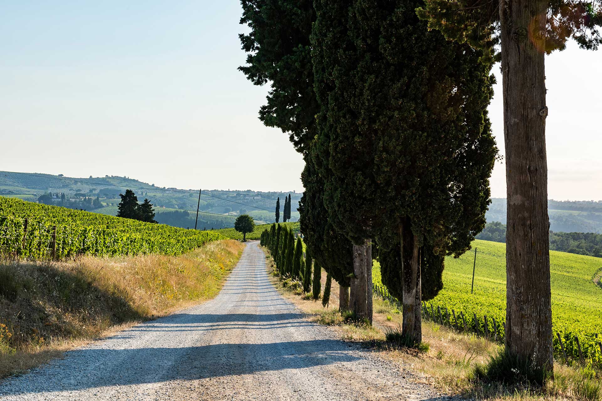 Tenuta Poggio ai Mandorli